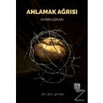 Anlamak Ağrısı - Aydın Uzkan