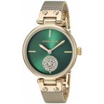 Anne Klein AK-3000GNGB Kadın Kol Saati