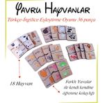 Anne Ve Yavru Hayvanlar Eşleştirme Türkçe-ingilizce