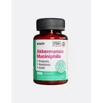 Anocin Akkermansia Muciniphila Probiyotik 20 Tablet