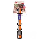 ANS 1,5 cm Genişlik Boynu 30-37 cm İki Renk Köpek Boyun Tasması