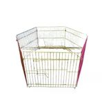 Ans Renkli Köpek Çiti No:1 60-55Cm