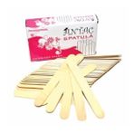 Antaç Spatula 100lü