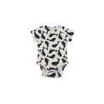 Antebies Balina Body, Erkek