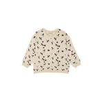 Antebies Ejderha Sweatshirt, Erkek