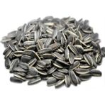 Antepsel Dakota Çekirdek Tuzsuz 1 KG