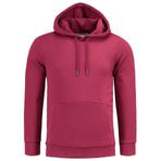 Anthony Jackson Erkek Kapüşonlu Sweatshirt, FLINT (BORDO, L)
