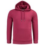 Anthony Jackson Erkek Kapüşonlu Sweatshirt, FLINT (BORDO, S)