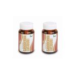 Anti Ganoderma Lucidium Reishi Mantarı 2x90 Kapsül