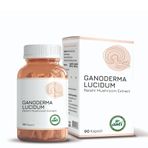Anti Ganoderma Lucidium Reishi Mantarı İçeren 90 Kapsül