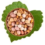 Antik Kuruyemiş 500 gr Karışık Çerez Duble