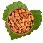 Antik Kuruyemiş 500 gr Soslu Fıstık