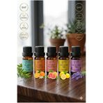 Antik Şifa %100 Lavanta yağı, Portakal yağı, Limon yağı, Greyfurt Yağı, Çay ağacı uçucu yağı - 5x10ml