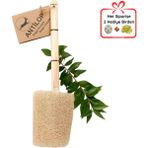 Antilop Ahşap Saplı, Özel Tasarım Kabak Lif, Doğal Peeling Etkili, Selülitleri Azaltmaya Yardımcı - Ahşap Saplı Sırt Kesesi