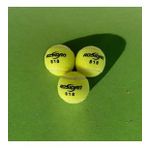 Antrenman Tenis Topu Pro Tenis Mac Topu 3 Adet