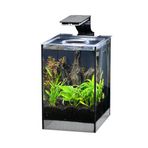 Anubias Danio 17 Nano Akvaryum Siyah 17 X 22 X 26,5 Cm