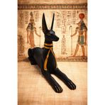 Anubis Antik Mısır Tanrısı Altın Biblo 15 cm