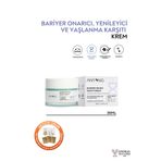 Anyong Bariyer Onarıcı, Yenileyici ve Yaşlanma Karşıtı Krem 50 ml ( Yeşil Çay & Bakuchiol & Bifida)
