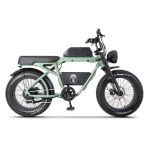 Ape Ryder Bonobo Premium Yeşil Elektrikli Bisiklet