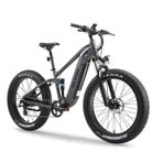 Ape Ryder Buffalo-F Antrasit Elektrikli Bisiklet