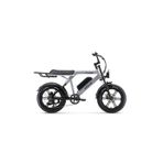 Ape Ryder Colobus Elektrikli Bisiklet 750w - Gri
