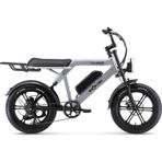 Ape Ryder Colobus Premium 750 W Elektrikli Bisiklet