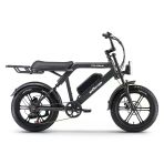 Ape Ryder Colobus Premium 750 W Siyah Elektrikli Bisiklet