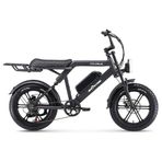 Ape Ryder Colobus Premium 750 W Siyah Elektrikli Bisiklet