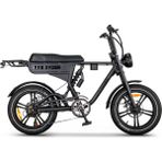 Ape Ryder DC20 Çift Kişilik Elektrikli Bisiklet