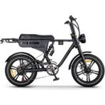 Ape Ryder DC20 Çift Kişilik Elektrikli Bisiklet