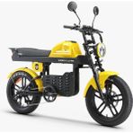 Ape Ryder Gibbon Ultra Pro 1000W Elektrikli Bisiklet AYNA VE EL GAZI HEDİYELİ - Sarı