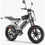 Ape Ryder Mandrıll 1000W Elektrikli Bisiklet Ayna Çanta ve El Gazı Hediyeli - Gri
