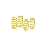 APEXİ Bmw 3 Serisi E36 Uyumlu Spor Helezon Yay 1991-1998 Model Uyumludur E36-APEXİ