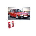 APEXİ Eng Tofaş Coılover Ayarlı Yay Tofaş Ikili Coilover Yay.. Spor Yay