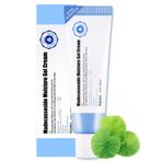 A'PIEU Hassas ve Yıpranmış Ciltlere Özel Nemlendirici Jel Krem A'PIEU Madecassoside Moisture Gel Cream