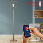 Apliqa 3638-01-FR Soho Eskitme Tasarım Lambader