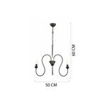 Apliqa 7000-04-3Y-BL Flor 3lü Yuvarlak Siyah Modern Salon Avize