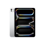 Apple 11 İnç İpad Pro M4 Wifi + Cellular 2TB Standard Cam Gümüş