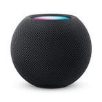 Apple Homepod Mini Uzay Grisi
