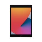 Apple iPad 8 MYL92TU-A Wi-Fi 32GB 10.2 inç Uzay Grisi Tablet PC Yenilenmiş