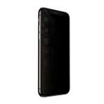 Apple iPhone 12 Mini Anti-Dust Privacy Temperli Ekran Koruyucu