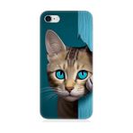Apple İphone 7 Uyumlu Silikon Kılıf Mavi Gözlü Masum Kedi