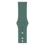 Apsuwa Apple Watch Nike+ 4 40MM Uyumlu Kordon Mat Jel Silikon Saat Kordonu 40/bb--Çam Yeşili
