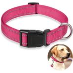 Aputue Köpek Tasmaları, Reflektif Köpek Tasma, Yumuşak Neopren Dolgulu Köpek Tasması, Rahat Yavru Köpek Tasması, Havalandırmalı Evcil Hayvan Tasması (Pembe, L)