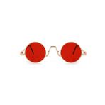 Aqua Di Polo 1987 APSS067143 Altın Minimal Kadın Güneş Gözlüğü