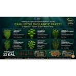 Aqua Expert Canlı Akvaryum Bitkisi - Başlangıç Paketi - 6 Tür - 22 Dal - 3 Adet Saksı ve 5 Adet Akıllı Gübre Hediyeli