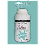 Aquacool Akrilik Hobi Boya 1 Kg Su Bazlı Hibrit Dönüşüm Boyası Ral 6027 Açık Yeşil