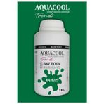 Aquacool Akrilik Hobi Boya 1 Kg Su Bazlı Hibrit Dönüşüm Boyası Ral 6029 Nane Yeşili