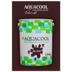 Aquacool Akrilik Hobi Boya 2,5 Kg Su Bazlı Hibrit Dönüşüm Boyası Ral 3007 Siyah Kırmızı
