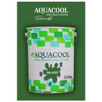 Aquacool Akrilik Hobi Boya 2,5 Kg Su Bazlı Hibrit Dönüşüm Boyası Ral 6001 Zümrüt Yeşili